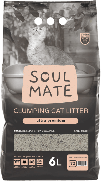 חול מתגבש לחתול