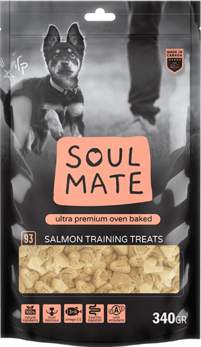 חטיף בריאות סלמון לאילוף ולפינוק