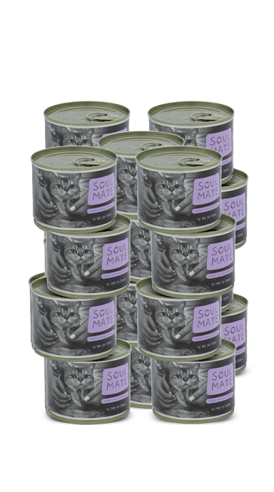 באנדל פחיות חתול