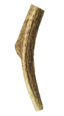 קרן אייל שלמה מידה M