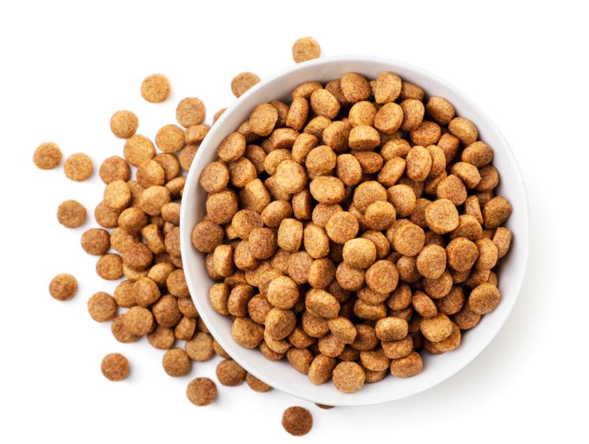 תקריב של גרגירי מזון יבש לחתולים באיכות גבוהה