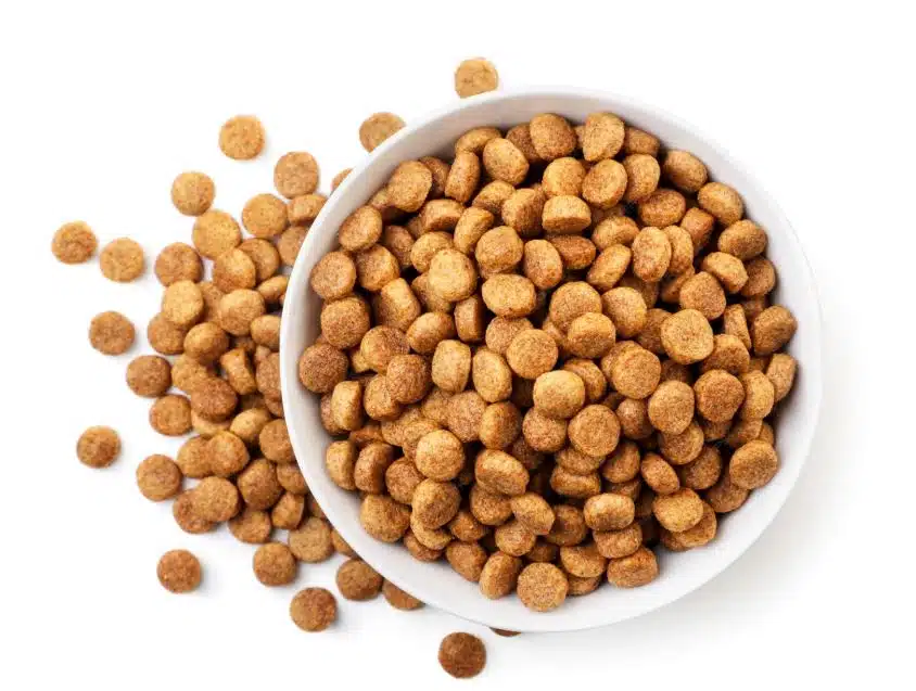 תקריב של גרגירי מזון יבש לחתולים באיכות גבוהה