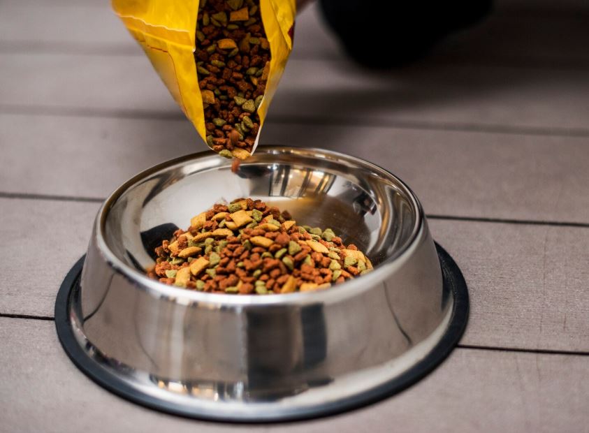 מזון יבש פרימיום לחתולים - דגנים איכותיים ועשירים בחלבון מן החי