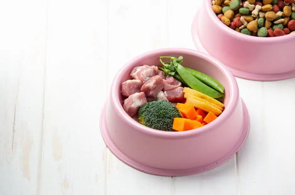 בניית דיאטה מותאמת לכלב לפי גיל גזע ורמת פעילות